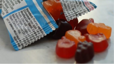 Fruit Snacks